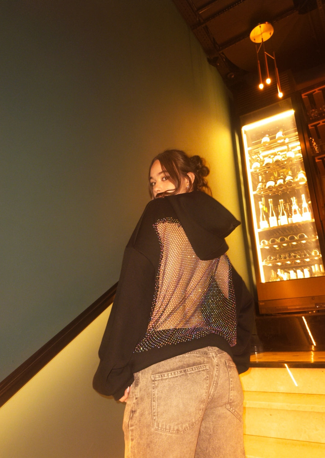 Aurora Crystal Mesh Transparent Hoodie